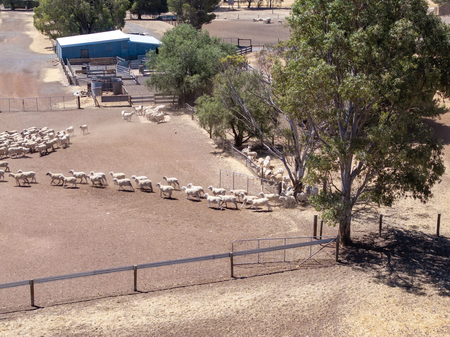 Additional image 18 of 'Merilden Feedlot' & 'Brads', Manoora SA 5414