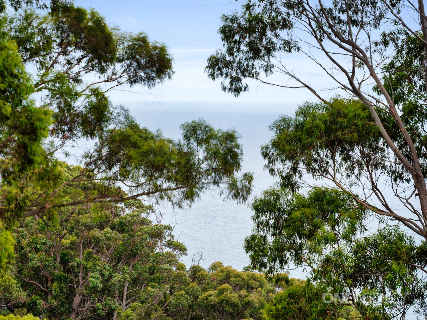 Additional image 8 of 64 Linton Avenue, Heybridge TAS 7316