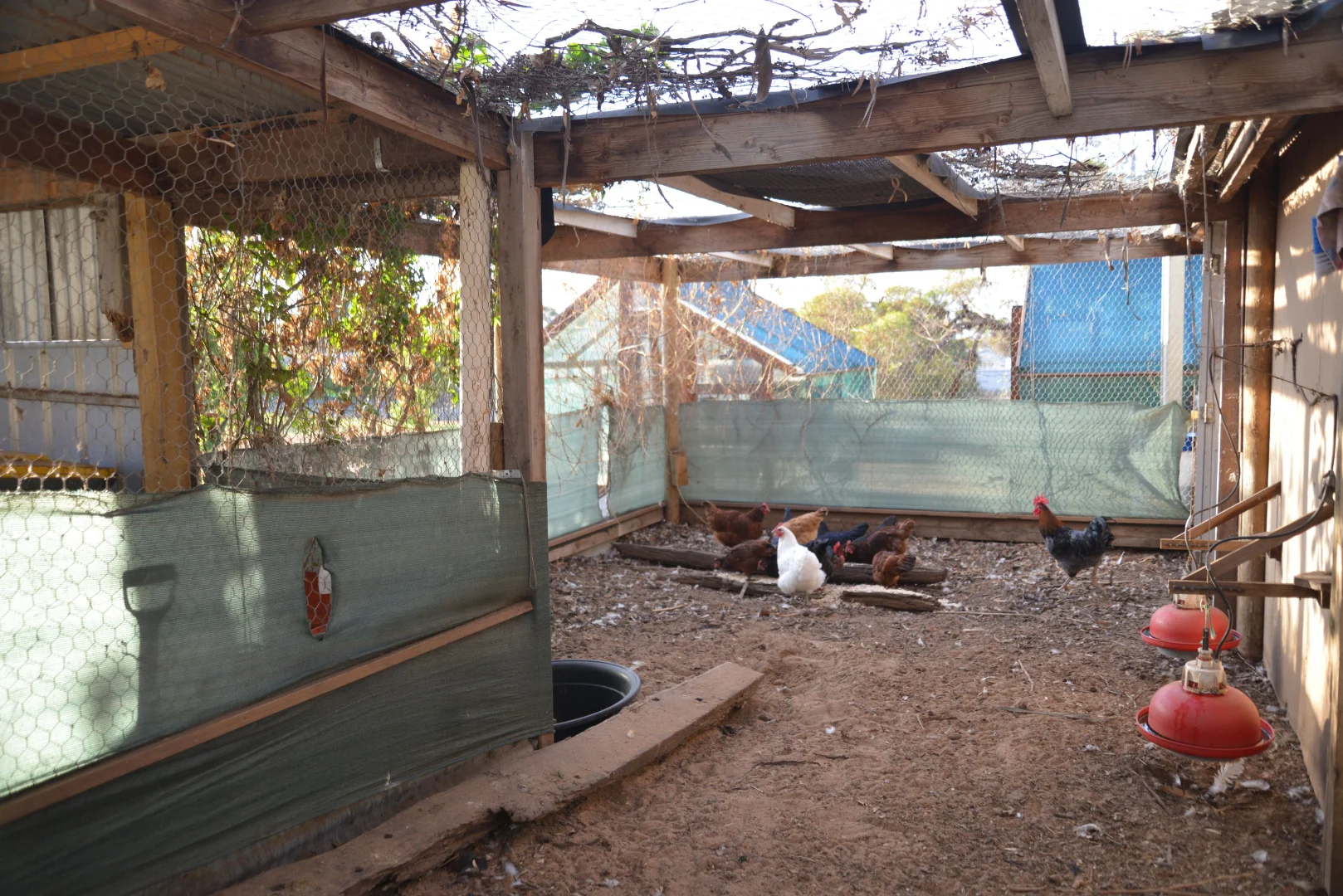 Additional image 28 of 49-53 Monash Avenue, Underbool VIC 3509