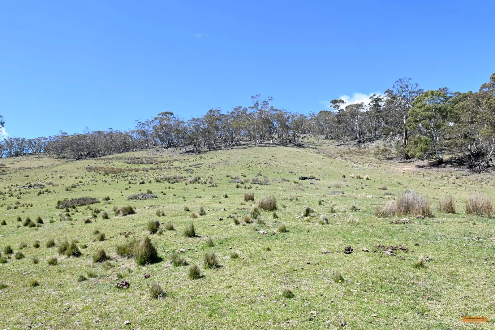 Additional image 22 of "King's Ridge" 698 Avonside Road, Avonside NSW 2628