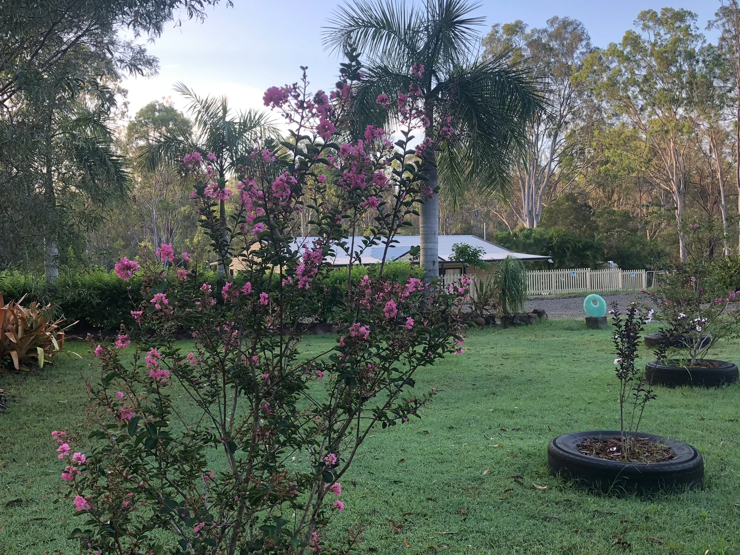 Additional image 11 of 847 Old Gympie Road, Paterson QLD 4570