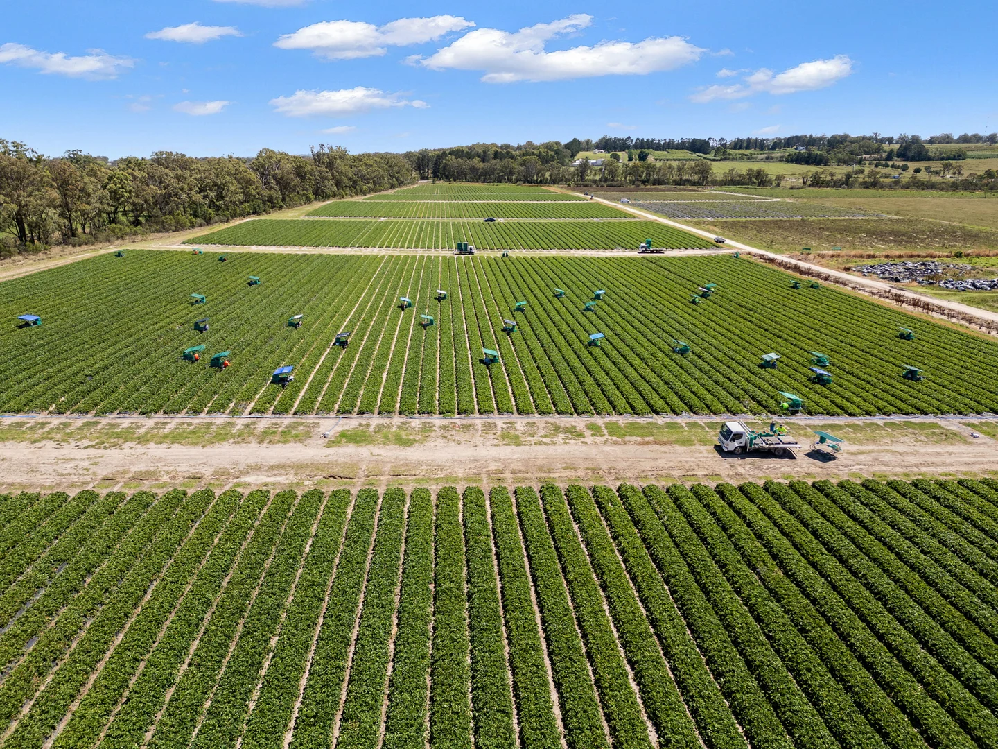 Additional image 12 of 193 Newlands Rd, Cottonvale QLD 4375