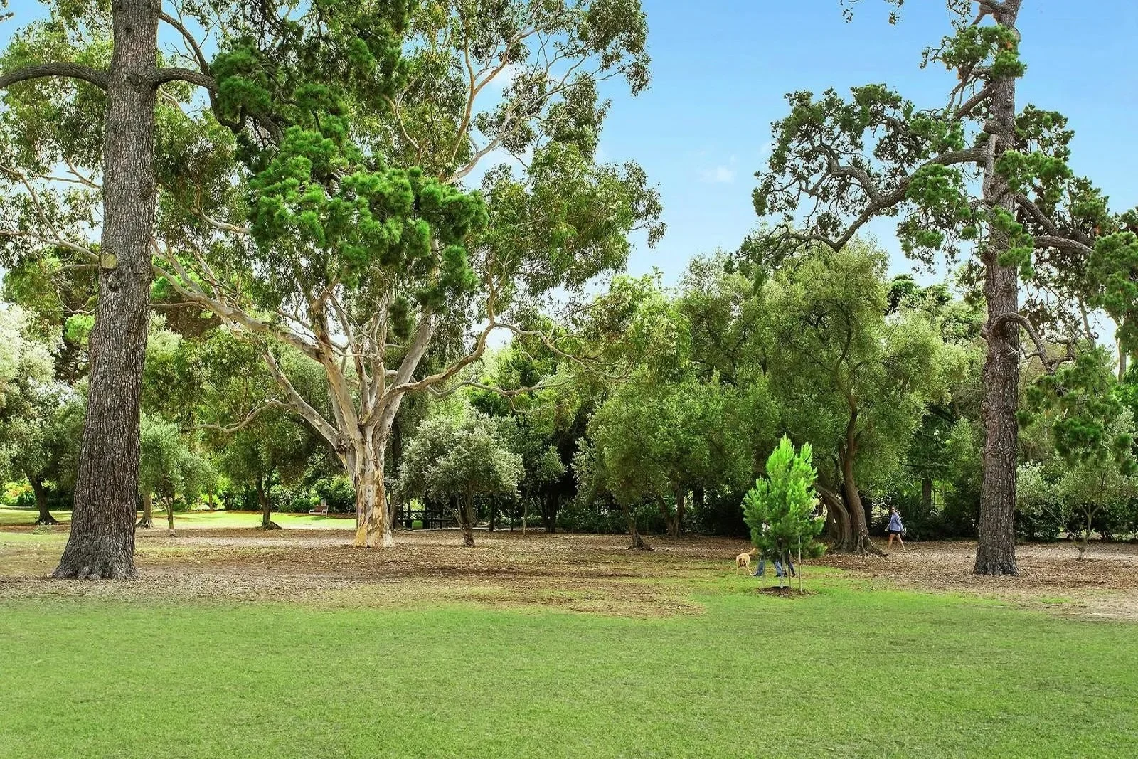 Additional image 9 of 2/5 Gourlay Street, Balaclava VIC 3183