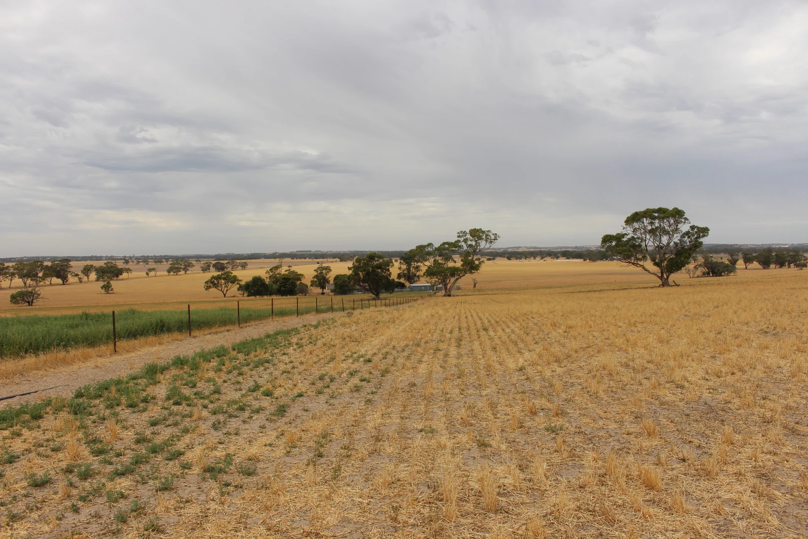 Additional image 22 of 2212 CAREW ROAD, Mundulla SA 5270