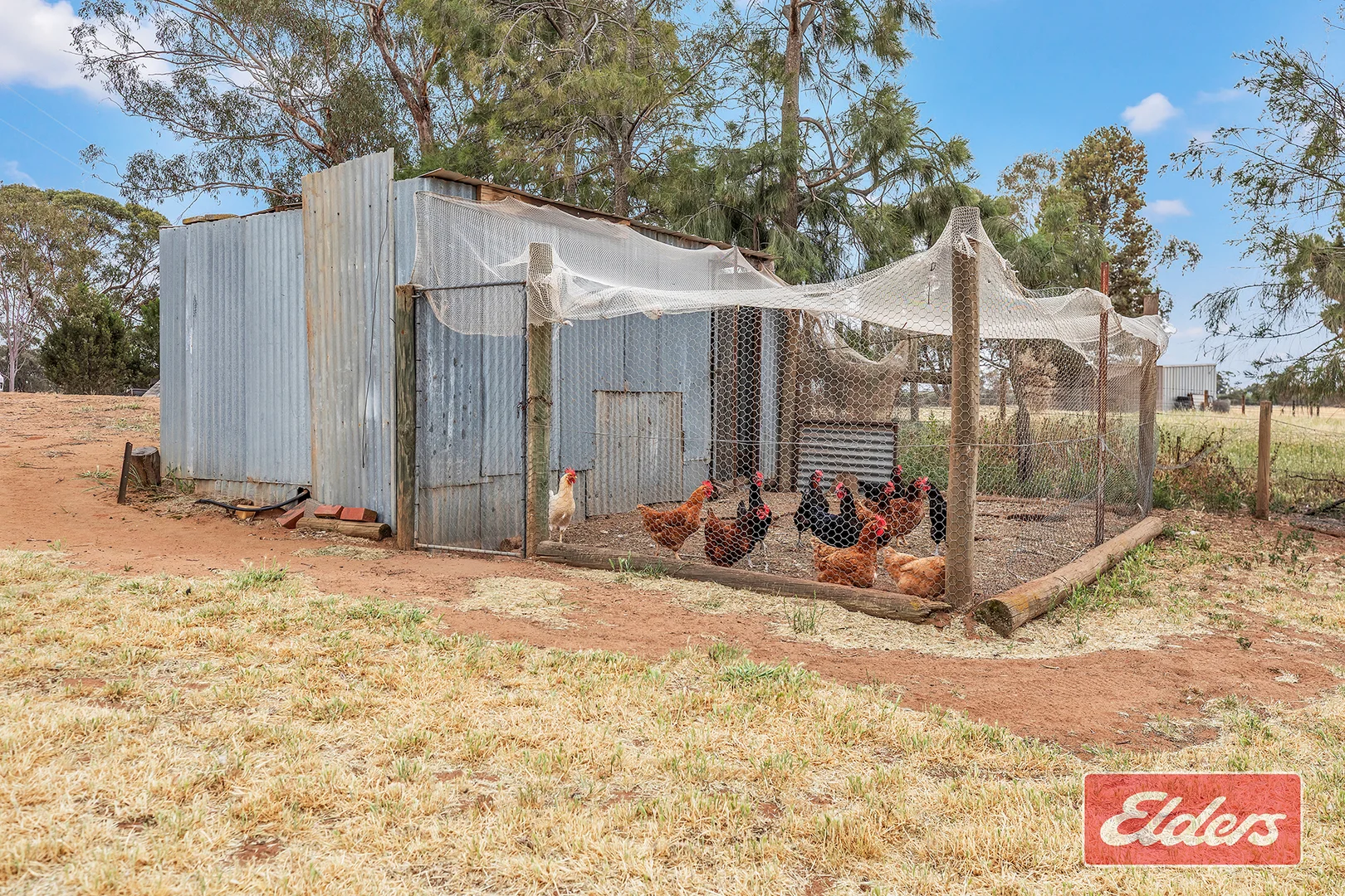 Additional image 29 of 937 Ham Road, Moama NSW 2731