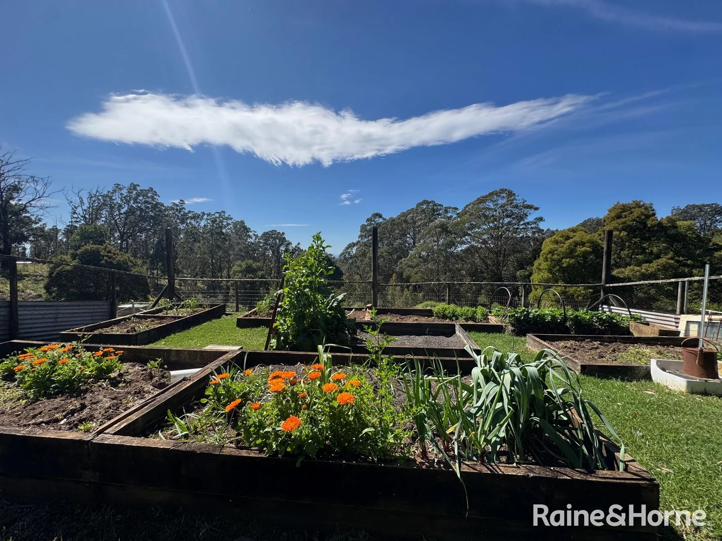 Additional image 8 of 36 Sturgiss Road, Sassafras NSW 2622