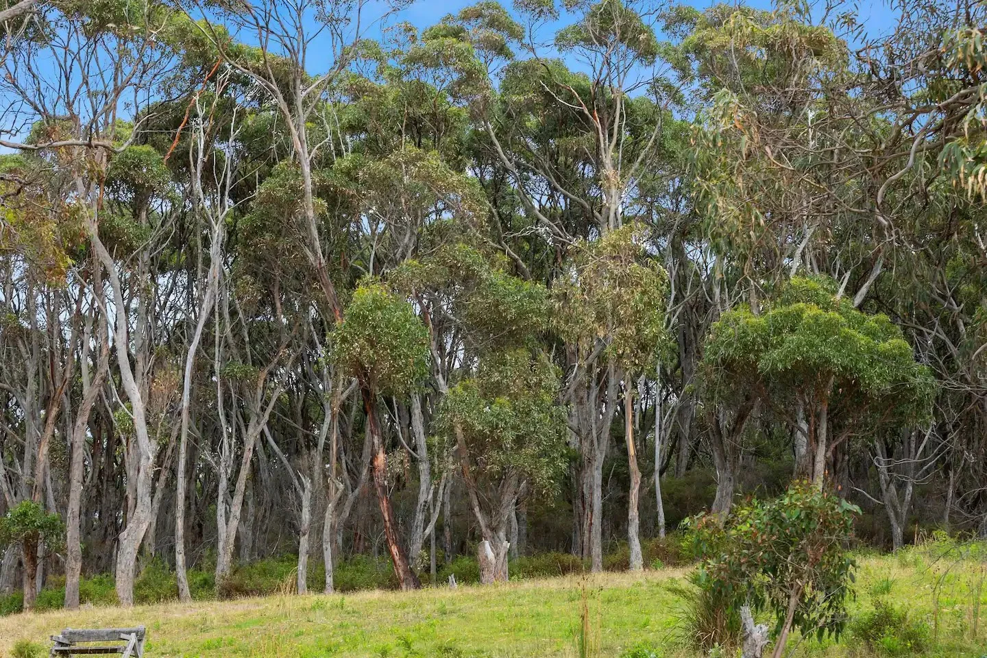 Additional image 13 of 17 Great Ocean Road, Grey River VIC 3234