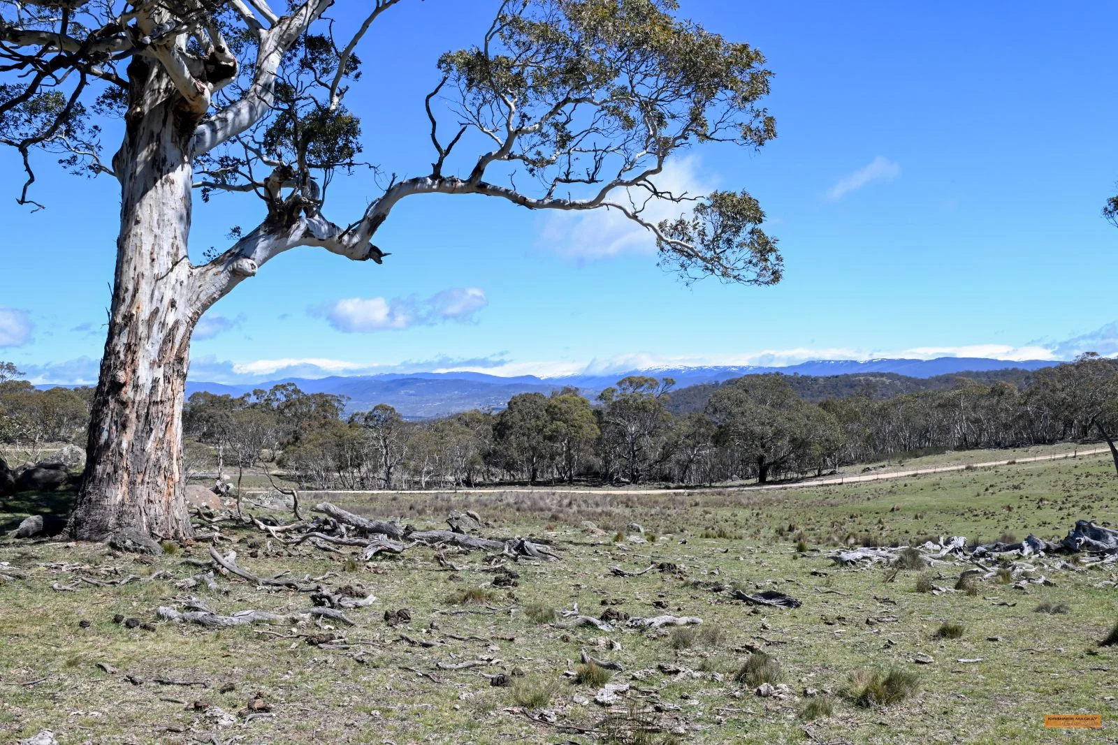 Additional image 13 of "King's Ridge" 698 Avonside Road, Avonside NSW 2628