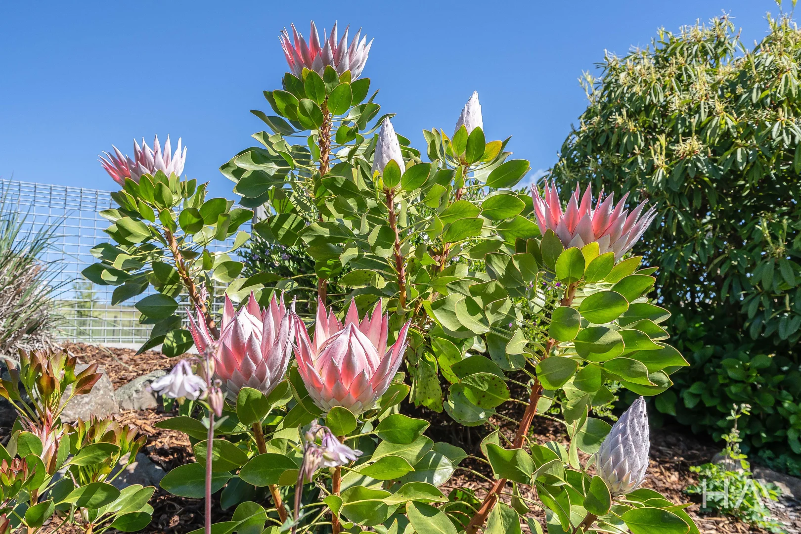 Additional image 14 of 11 James Street, Forth TAS 7310