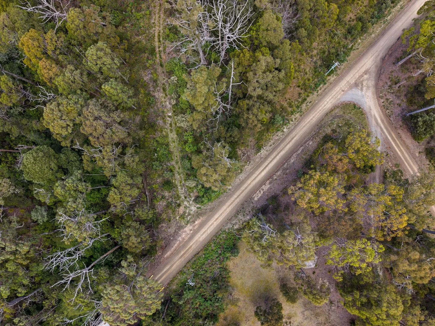 Additional image 18 of PID 6409528 Esk Main Road, St Marys TAS 7215