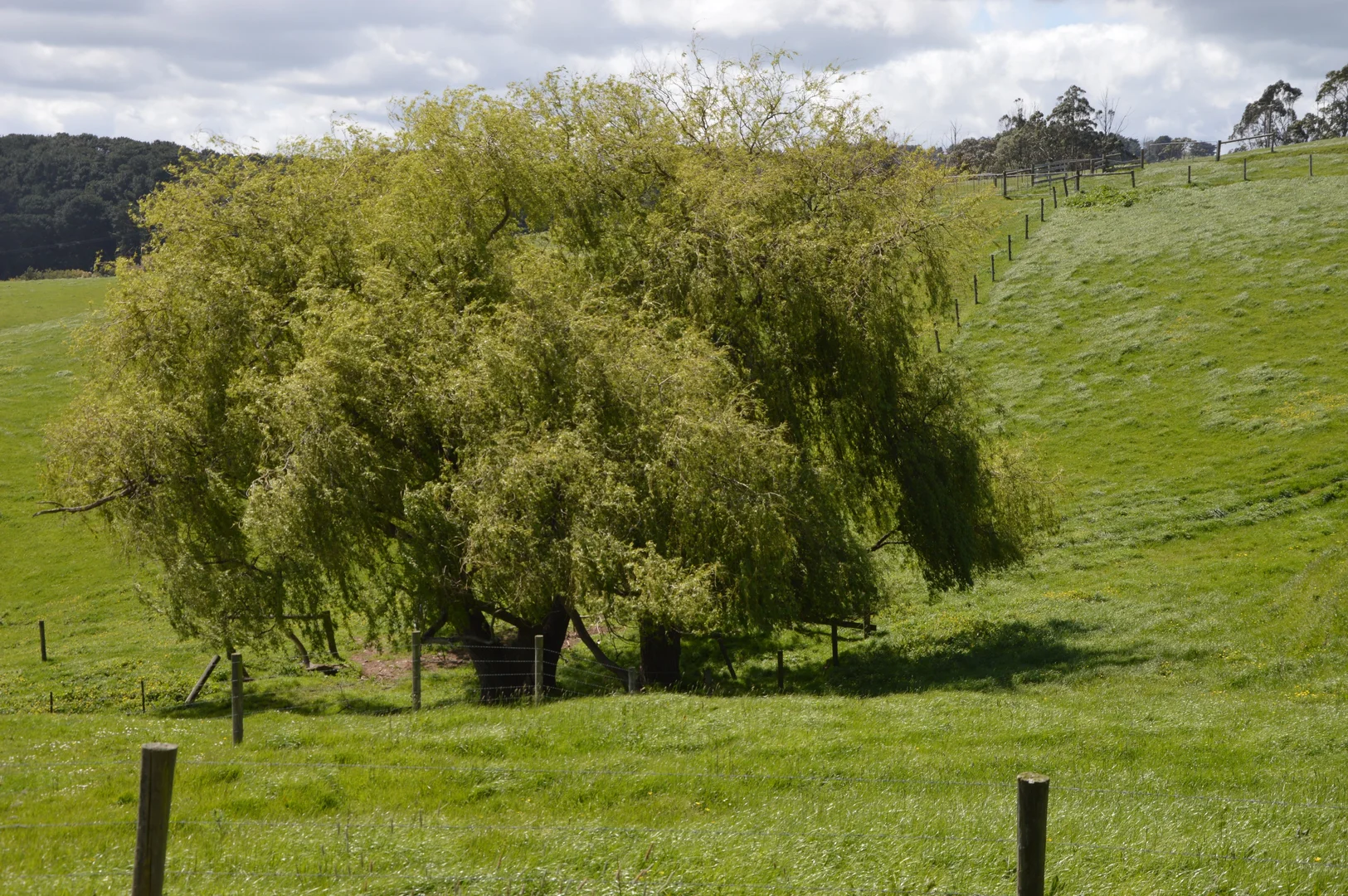 Additional image 20 of 59 Bellview Lane, Korumburra VIC 3950