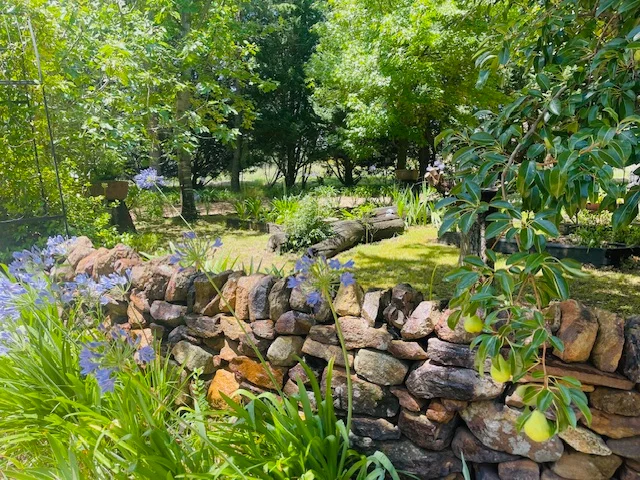 Additional image 10 of 40 Koala Crescent, Coonabarabran NSW 2357