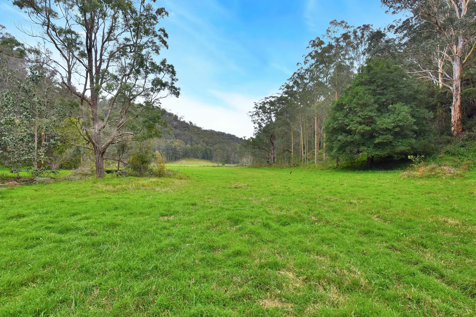 Additional image 5 of 2299 Wollombi Road, Sweetmans Creek NSW 2325