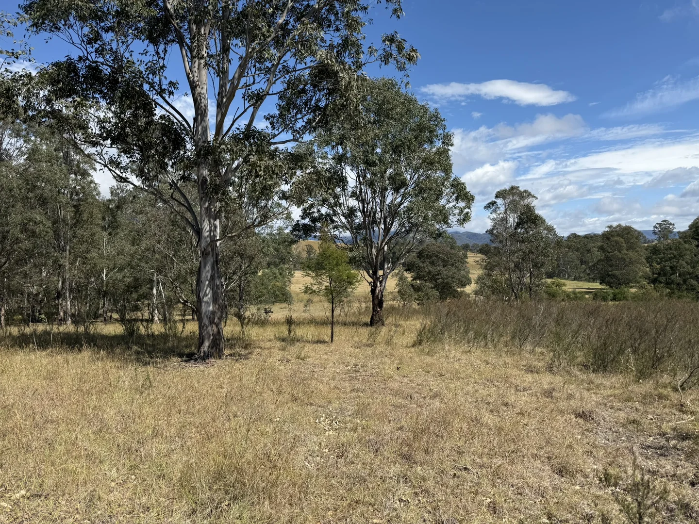 Additional image 17 of 3/1076 Neringla Road, Braidwood NSW 2622