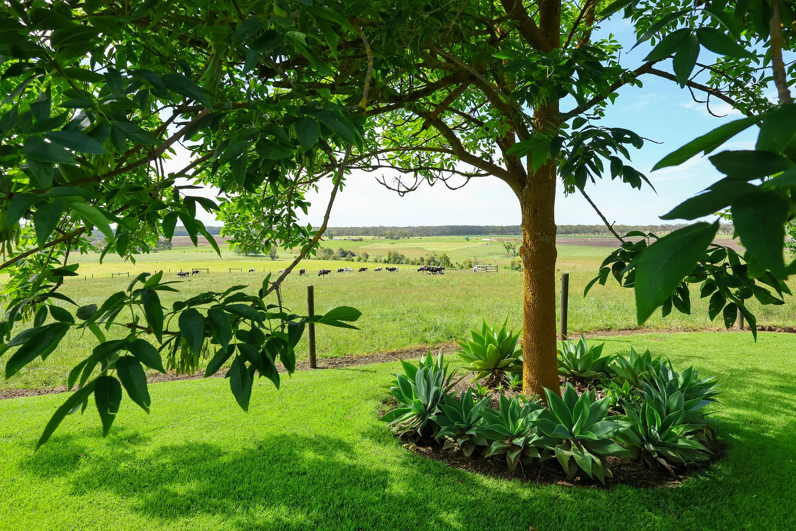 Additional image 15 of 335 Rollos Road, Panmure VIC 3265