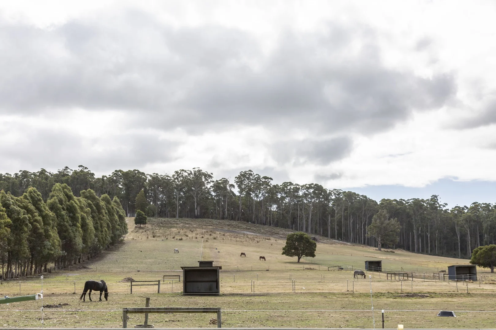 Additional image 12 of 5456 Bridport Road, Pipers River TAS 7252