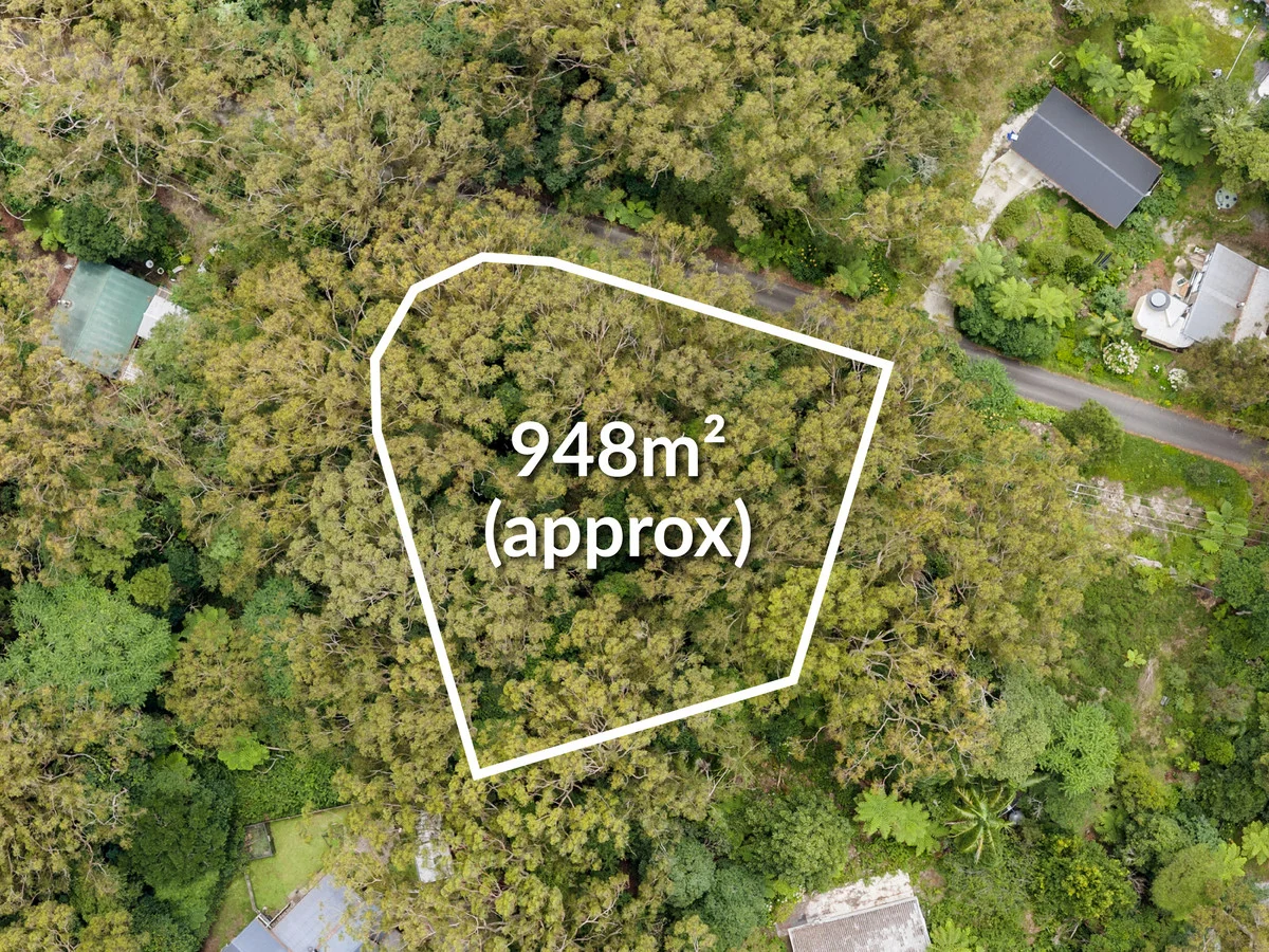 Additional image 2 of 5 Banksia Road, Springbrook QLD 4213