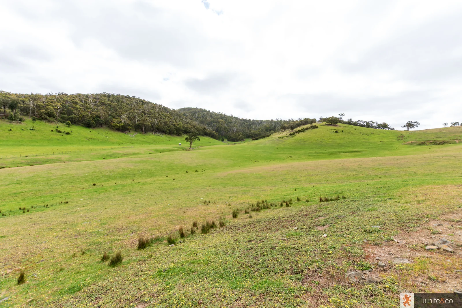 Additional image 7 of 1, 2 & 3/170 Dalls Road, Whittlesea VIC 3757