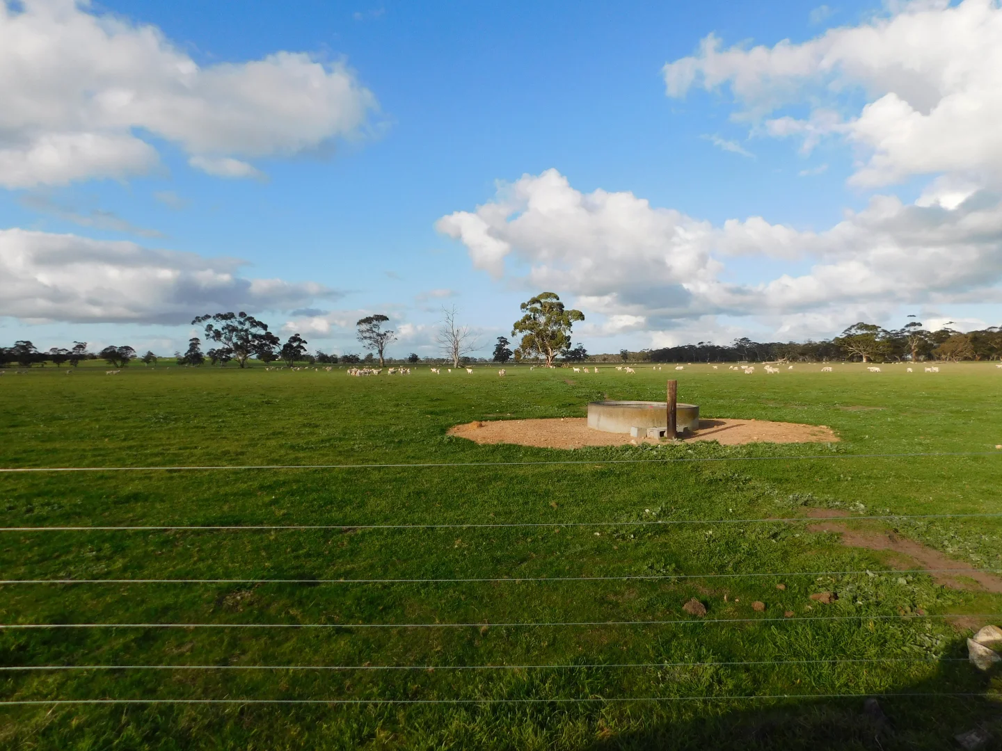 Additional image 10 of 1878 Cannawigara Road, Bordertown SA 5268