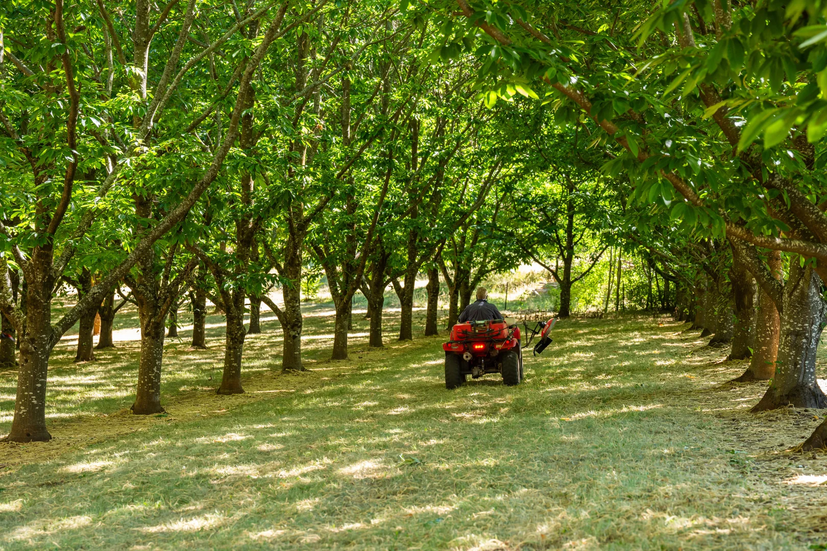 Additional image 17 of 192 Myrtleford-Stanley Road, Stanley VIC 3747