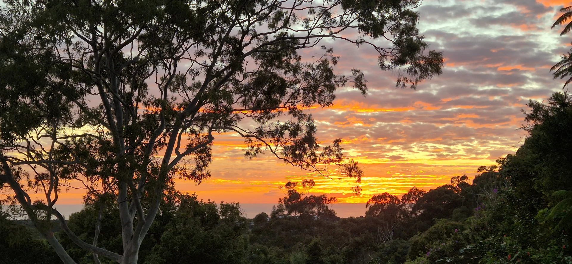 Additional image 32 of 32 Tongarra Drive, Ocean Shores NSW 2483