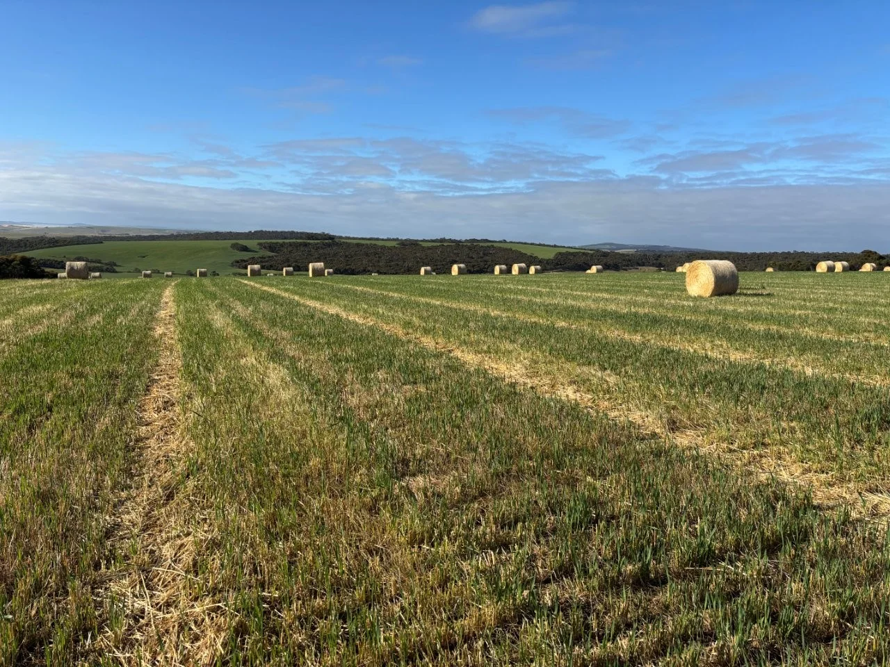 Additional image 21 of 251 Reservoir Drive, Whites Flat SA 5607