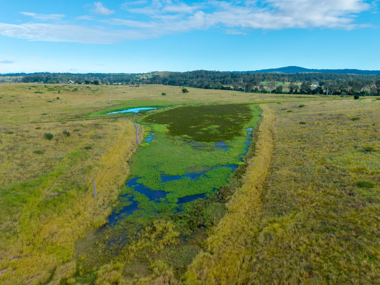 Additional image 20 of 3695 Beaudesert Nerang Road, Tabragalba QLD 4285