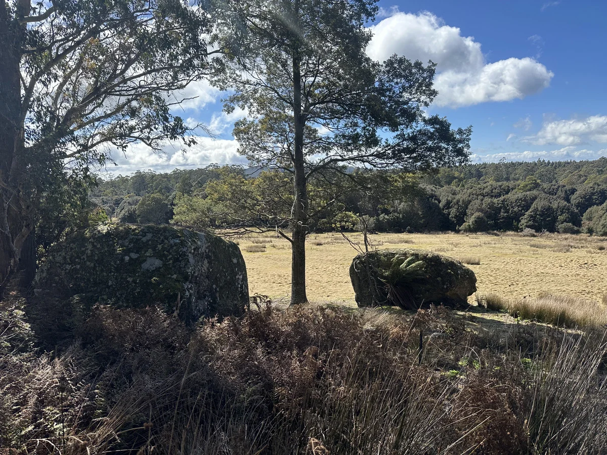 Additional image 13 of 12627 Highland Lakes Road, Golden Valley TAS 7304