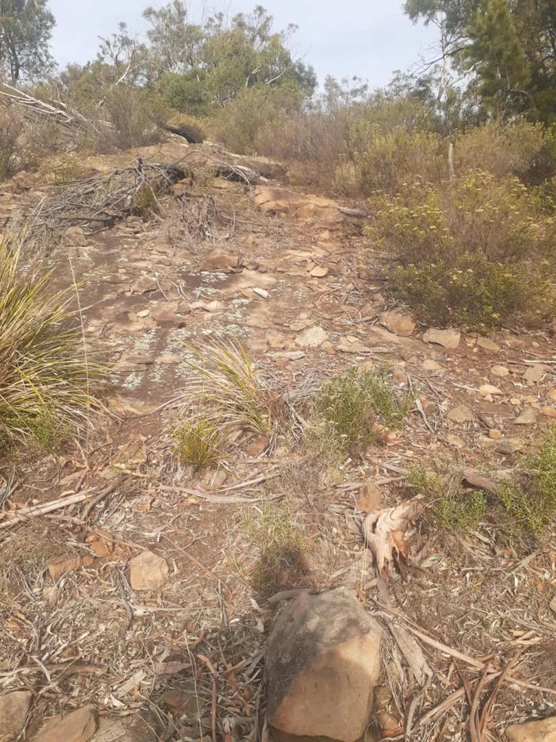 Additional image 9 of 1356 Tea Tree Rd, Campania TAS 7026