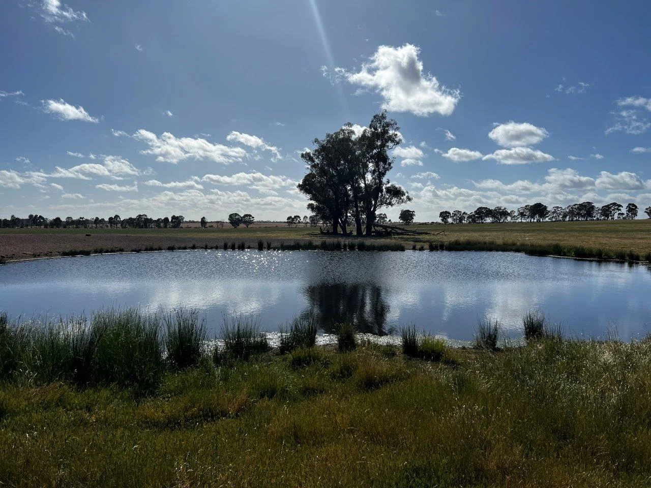 Additional image 11 of CA59D&59C Plain Road, Heathcote VIC 3523