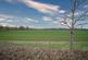 Additional image 14 of Templar Way  Rothley
