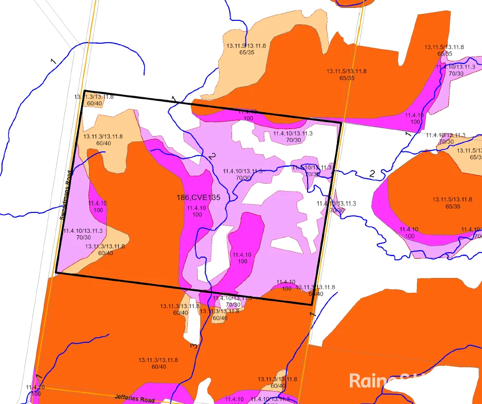 Additional image 36 of 647 Sweedmans Road, Limevale QLD 4384