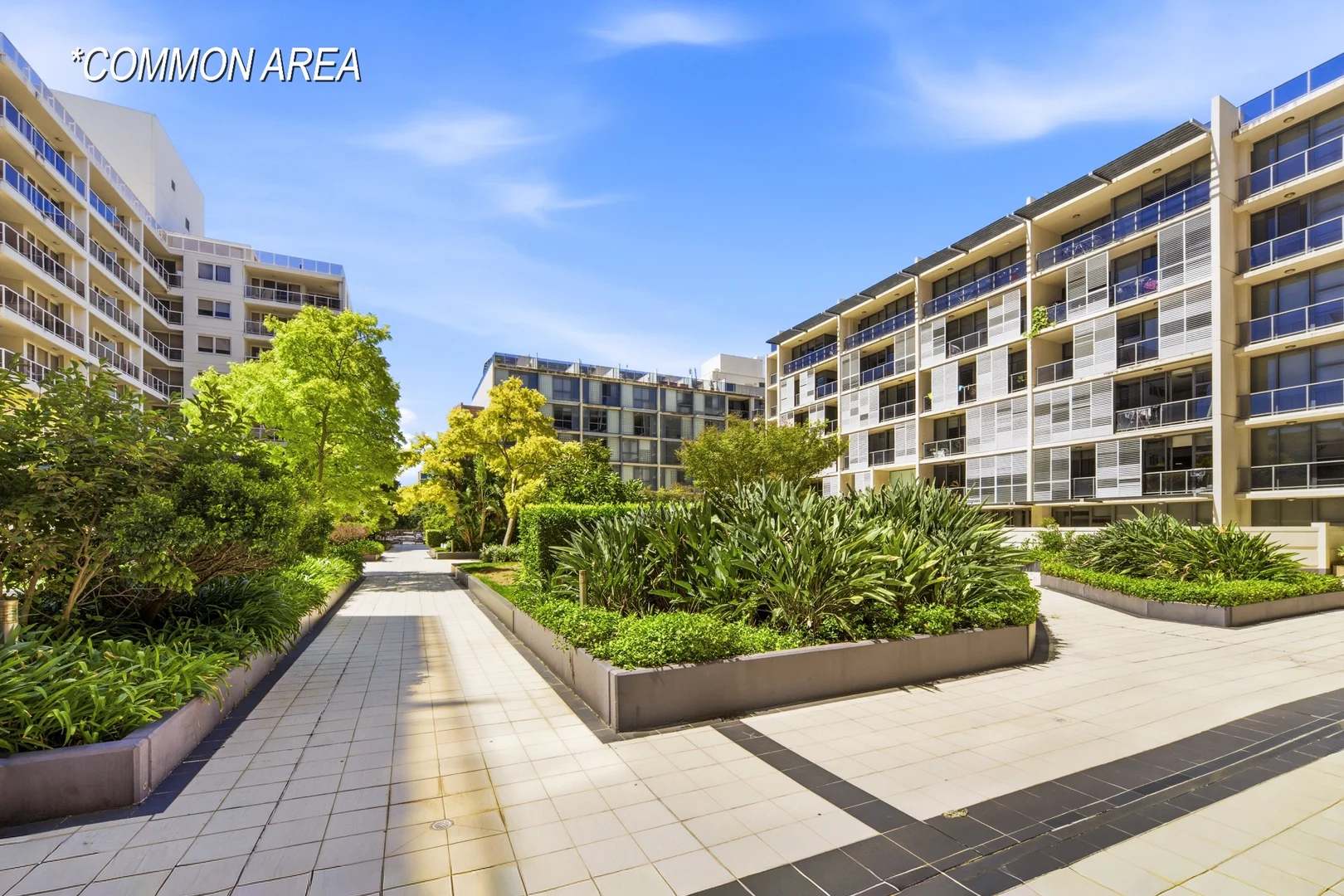 Additional image 24 of 337/8 Lachlan St, Waterloo NSW 2017