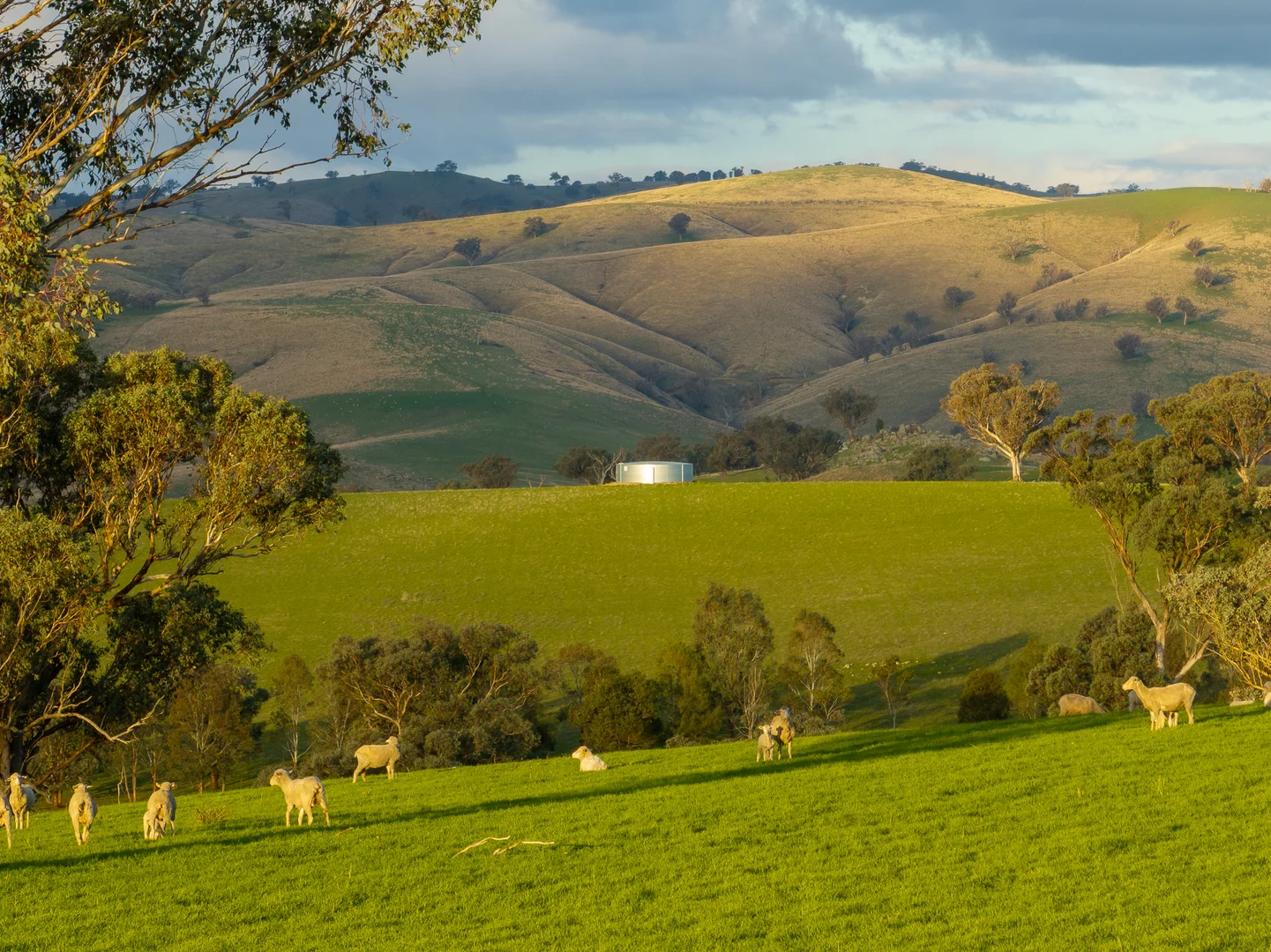 Additional image 31 of 1507 Pine Mount Road, Woodstock NSW 2793