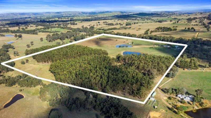 Additional image 38 of 354 Shaws Road, Merton VIC 3715