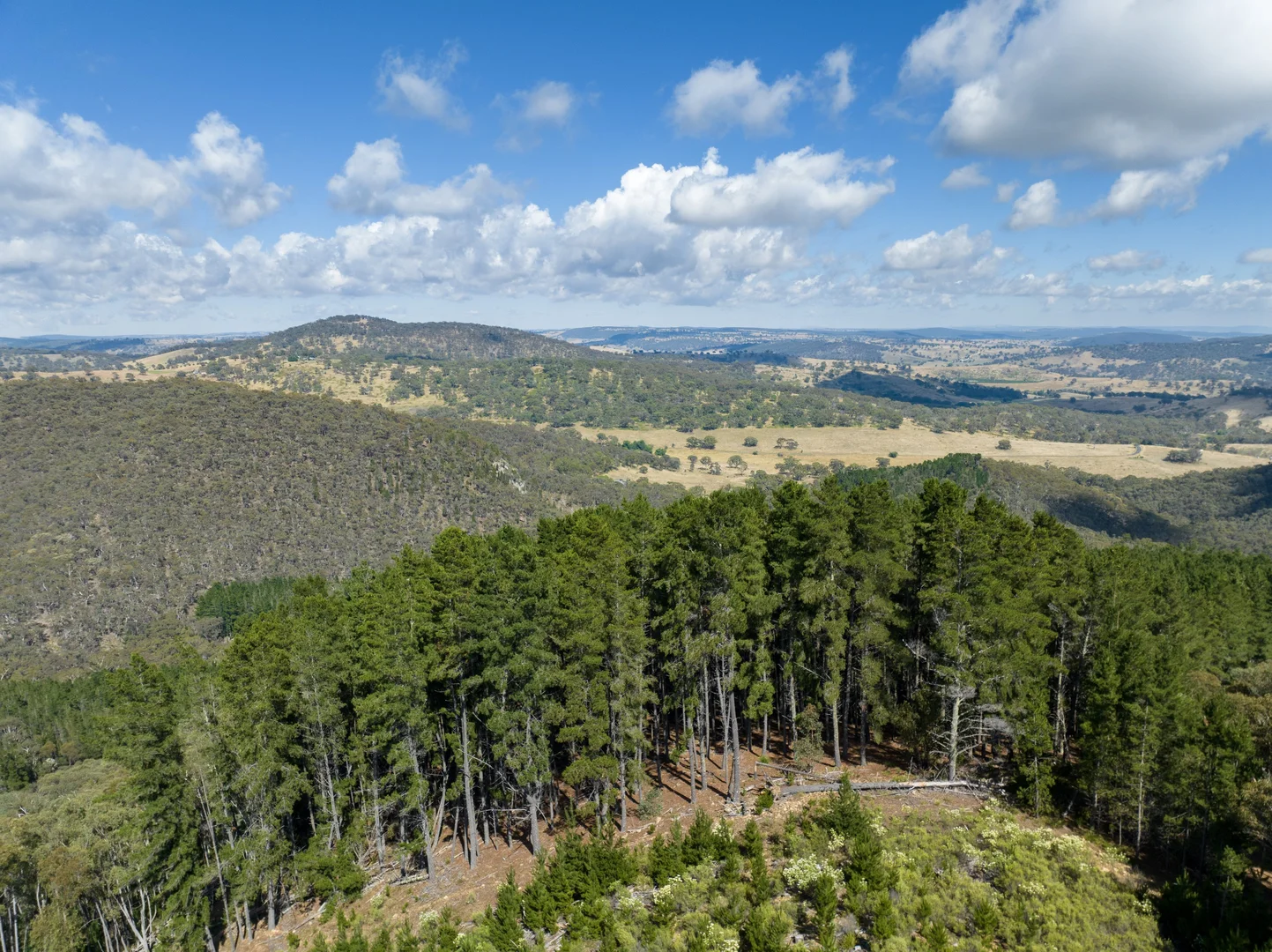 Additional image 8 of 771 Greywacke Road, Twenty Forests NSW 2795