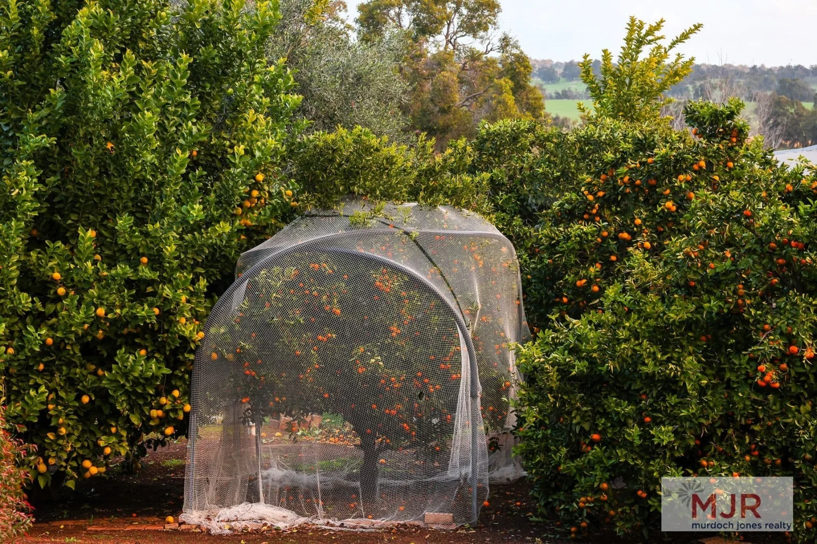 Additional image 16 of 3915 Quindanning-Darkan Road, Darkan WA 6392