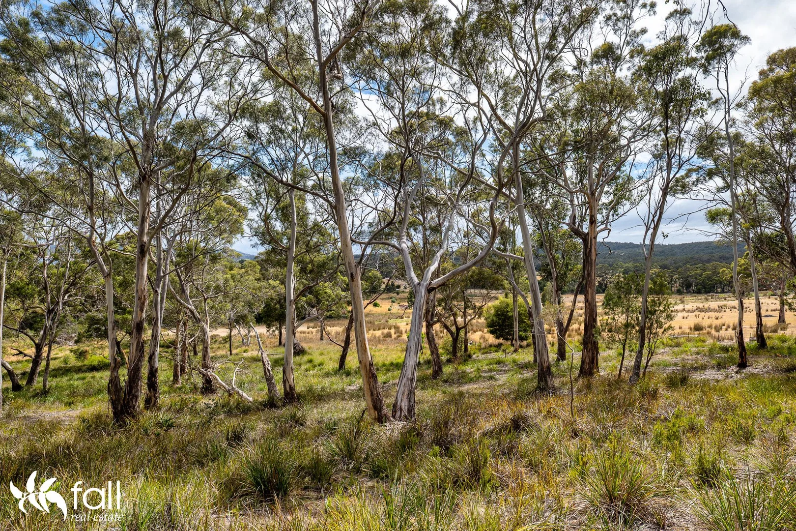 Additional image 14 of Lot 5 Blyth Parade, Great Bay TAS 7150