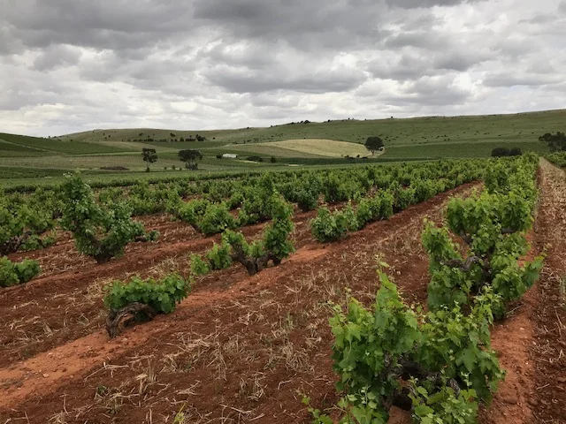 Additional image 14 of Lot 20 Spring Farm Road, Spring Farm SA 5453