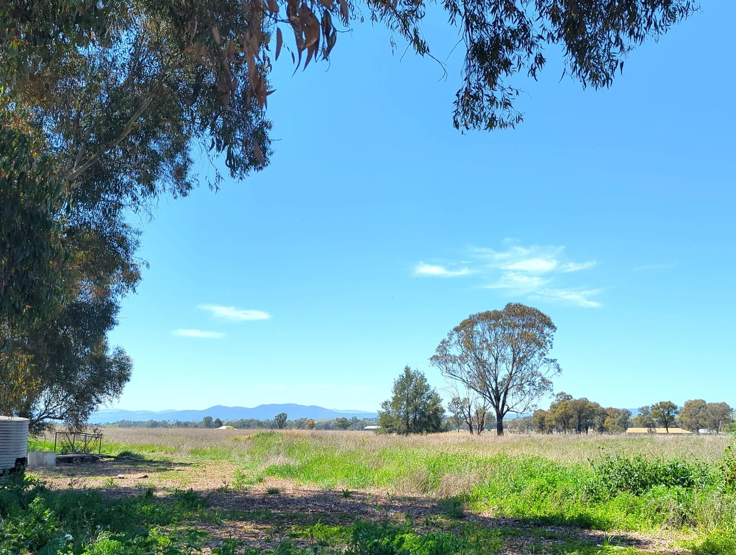 Additional image 10 of 5082 Werris Creek Road, Warral NSW 2340