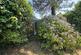 Additional image 17 of Hollies Road, Launceston
