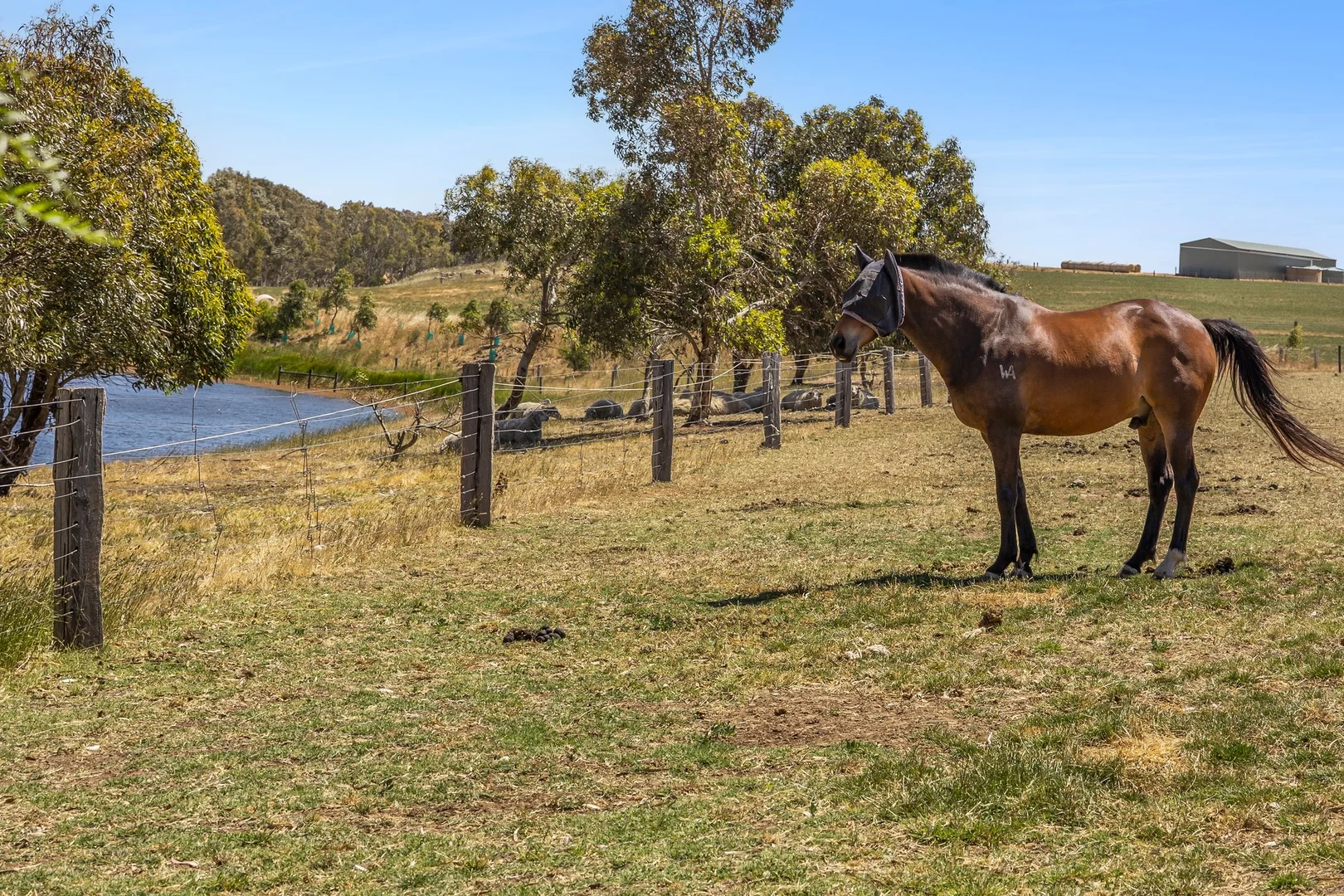 Additional image 21 of 1145 Inverleigh-Winchelsea Road, Inverleigh VIC 3321