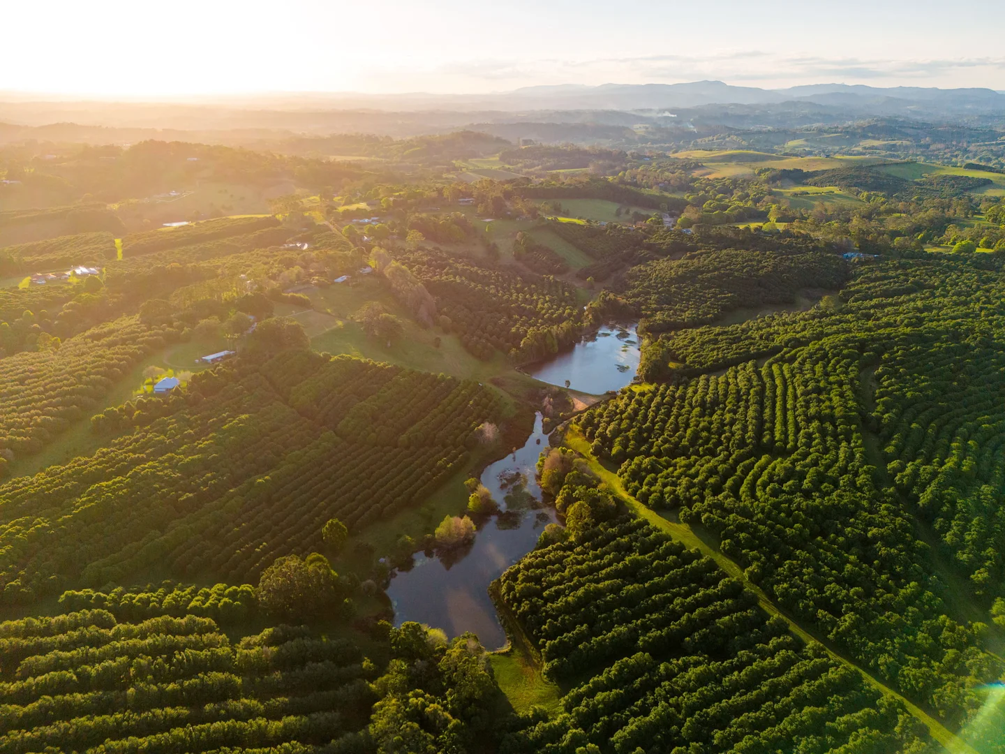 Additional image 9 of 145 Brooklet Road, Newrybar NSW 2479