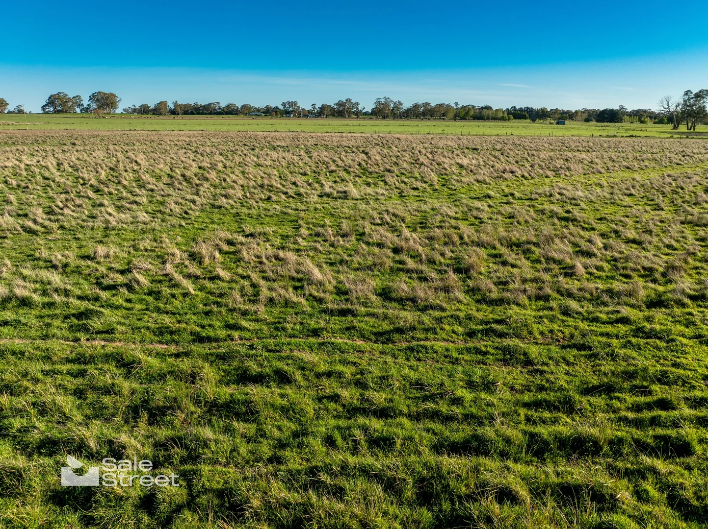 Additional image 34 of 31 Curralea Lane, Forest Reefs NSW 2798