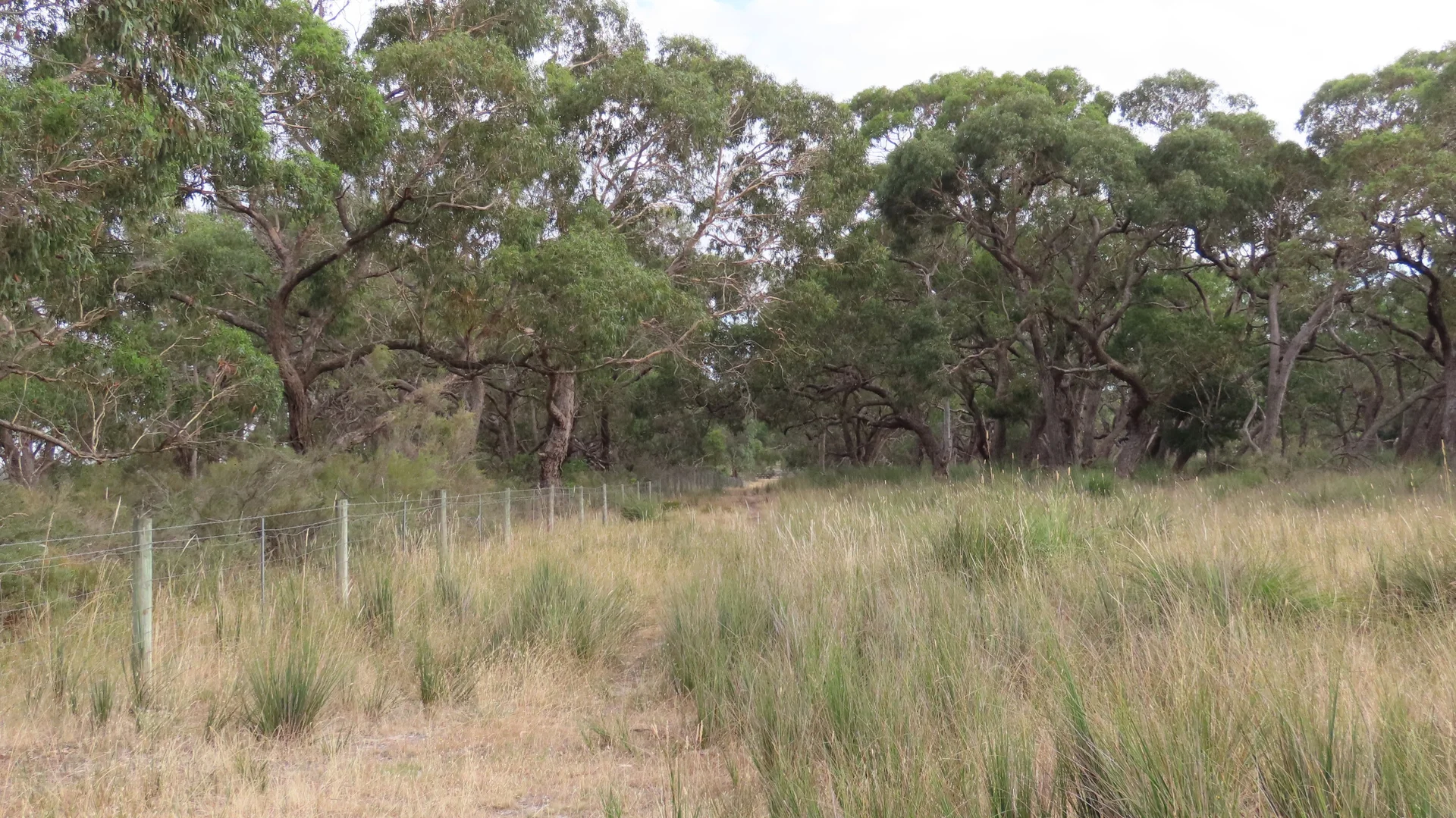 Additional image 30 of 110 Coote Rd, Moerlong SA 5278