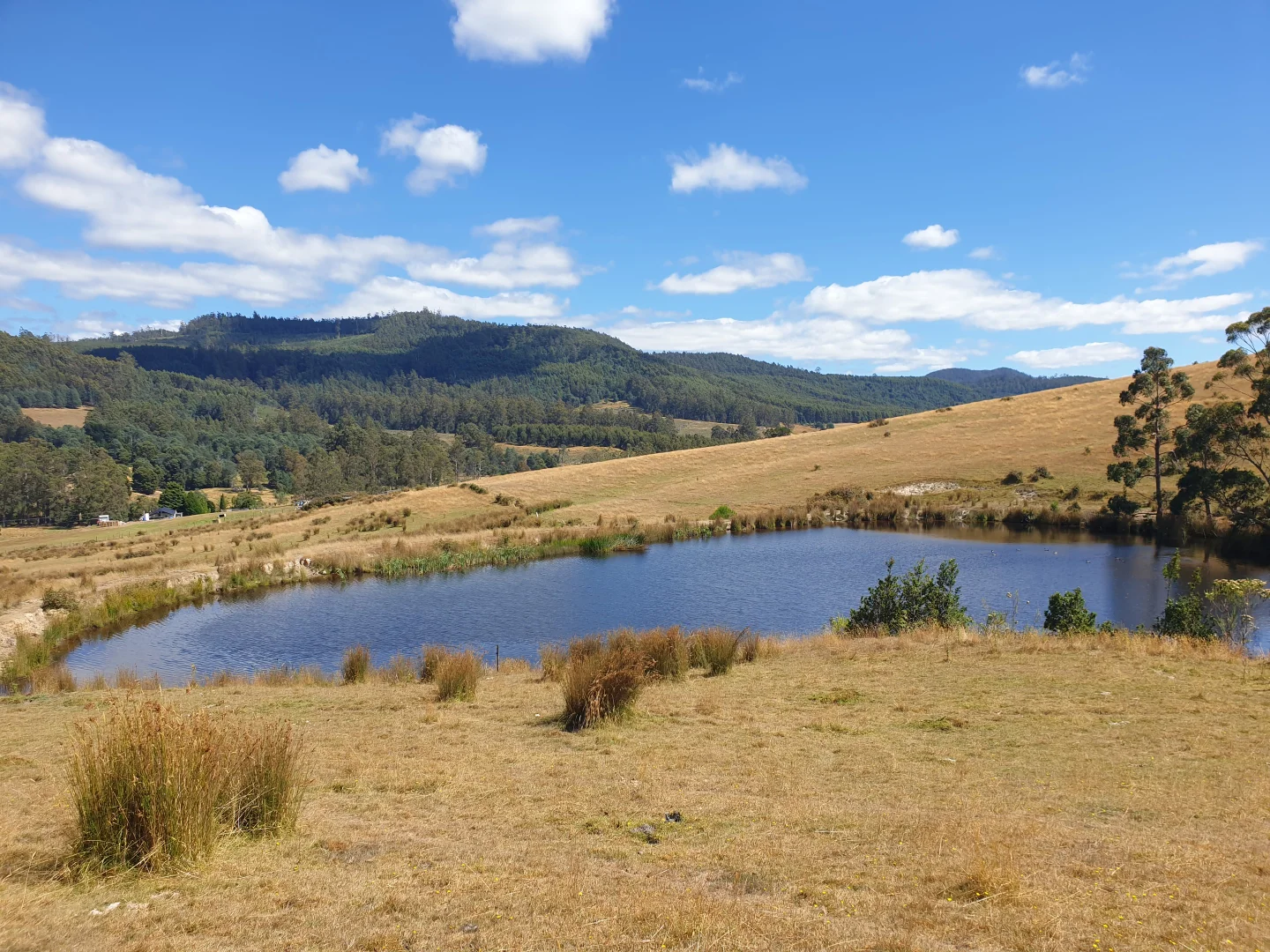 Additional image 14 of Lot 1 Huon Highway, Dover TAS 7117