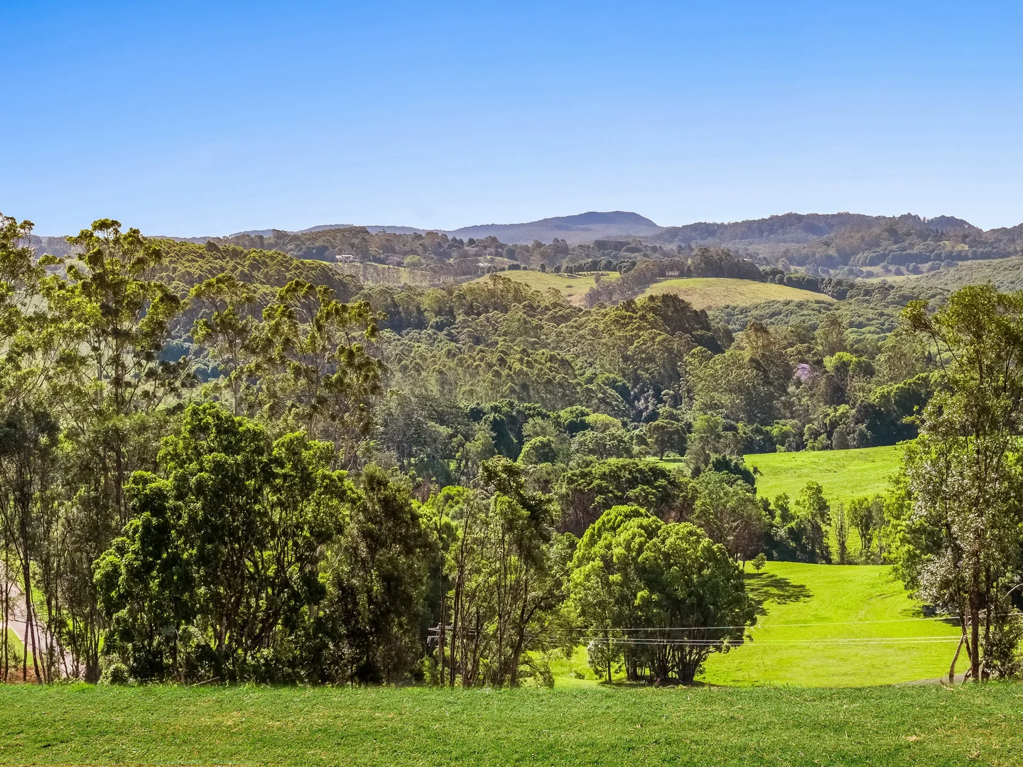 Additional image 29 of 315 Coorabell Road, Coorabell NSW 2479