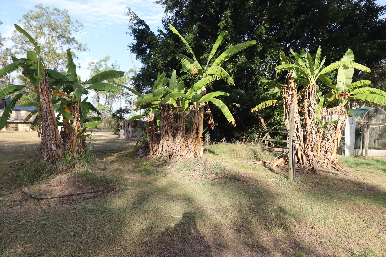 Additional image 19 of 2799 Rosedale Road, Yandaran QLD 4673