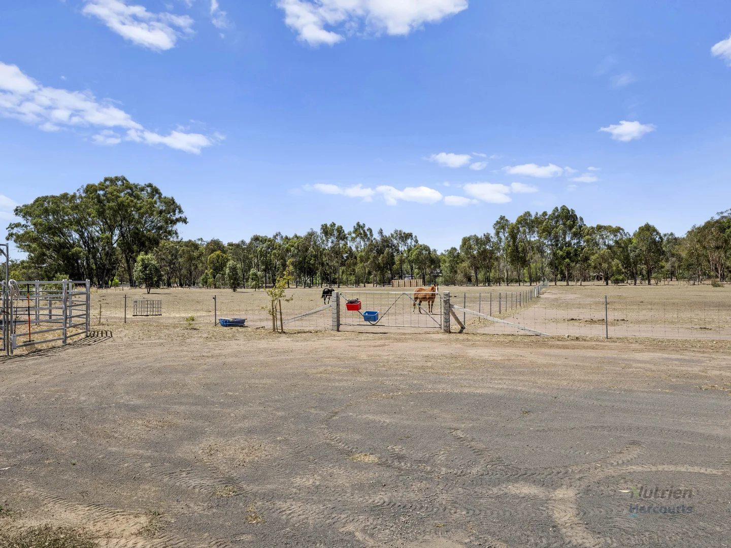 Additional image 17 of 320 High Street, Violet Town VIC 3669