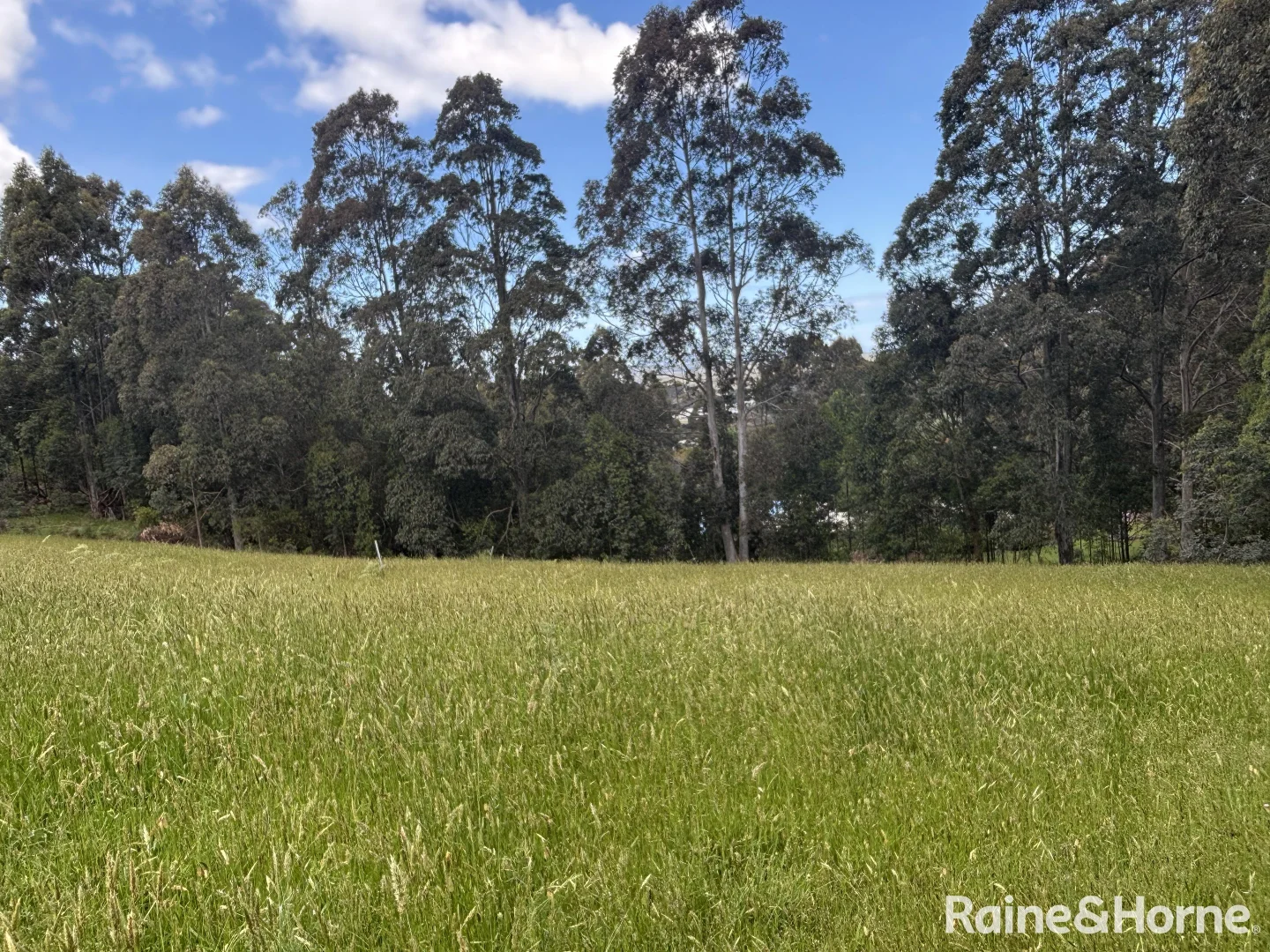 Additional image 10 of 2 Wishart Place, Denmark WA 6333